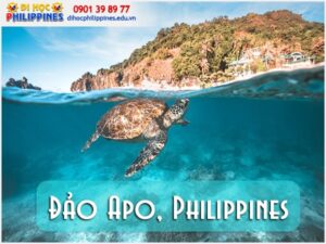 Đảo Apo Philippines