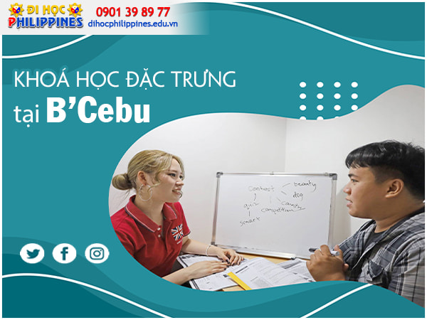 Chương trình đào tạo tại B'Cebu Academy