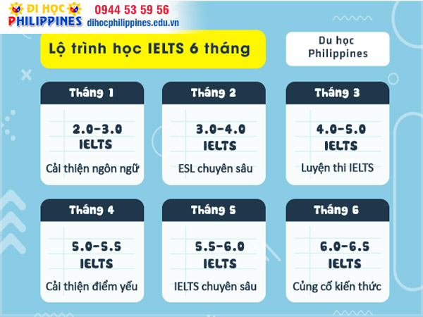 Lộ trình học IELTS trong 6 tháng cho người mất gốc