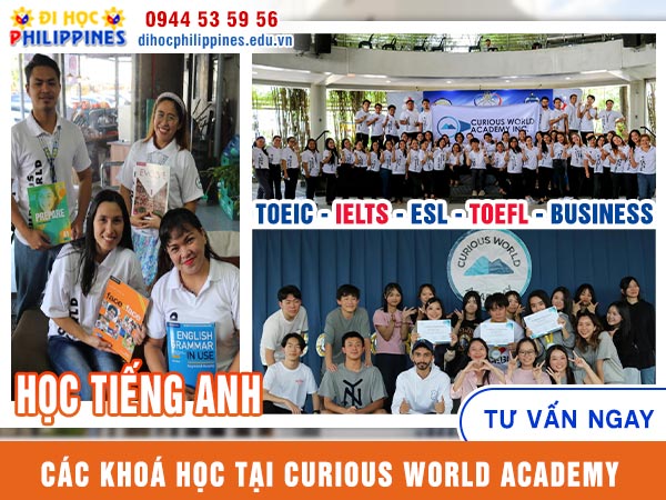 Các khoá học tại Curious World Academy